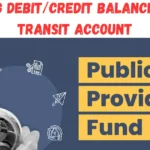 Clearing Debit/Credit Balances in PPF Transit Account